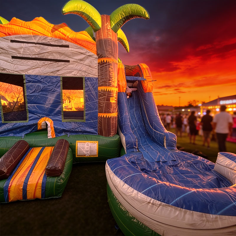 bounce houses slide TSO Home